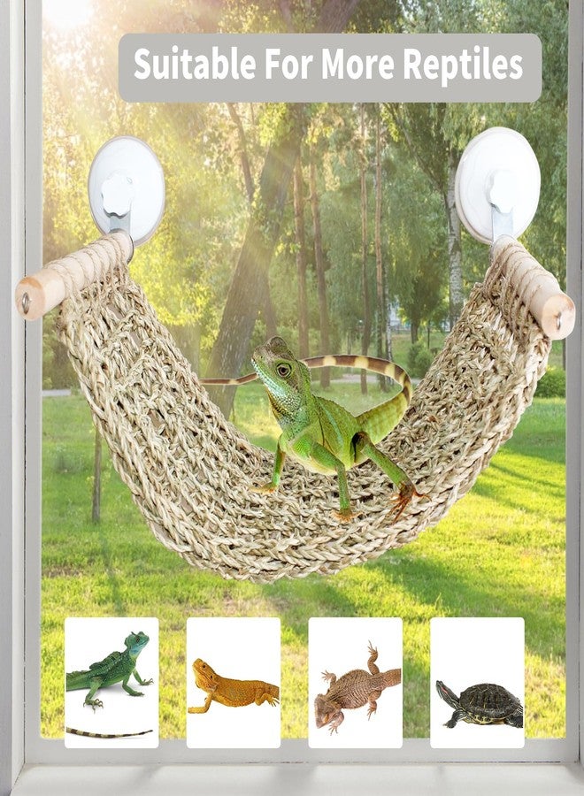 OOXYG Bearded Dragon Hammock for Window, 21.6 x 7.8 in Natural Seagrass Bearded Dragon Hammock, Large Lizard Window Perch, Reptile Hammock Bed with Powerful Suction Cups for Tank Accessories - Image 5